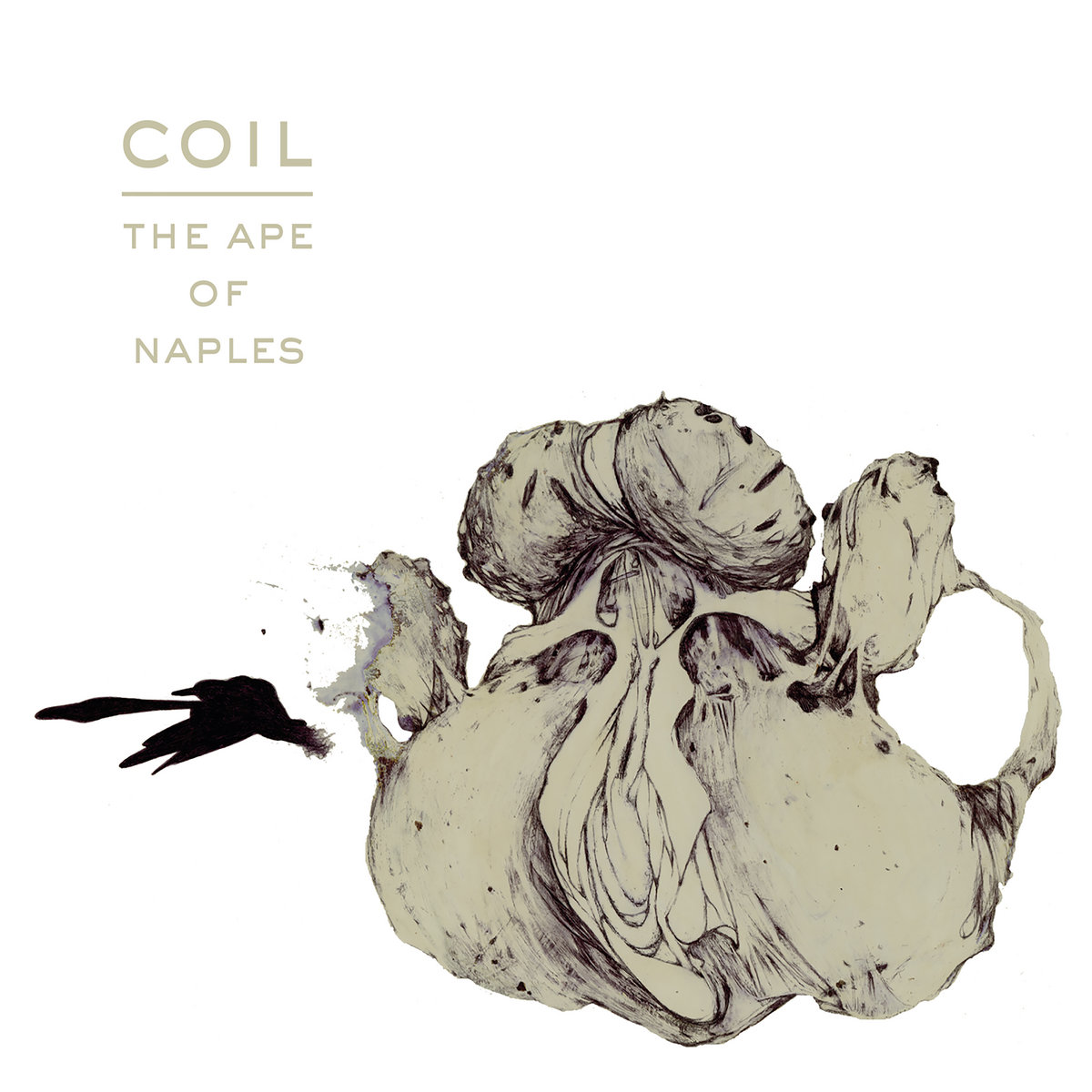 The Ape of Naples 